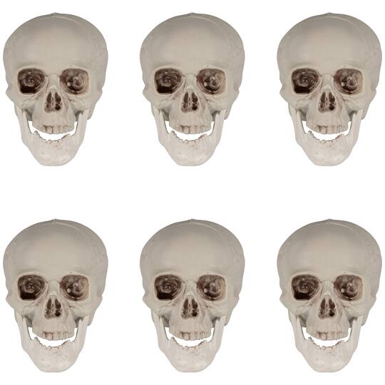 4.75" Skull Halloween Decorations, 6ct.
